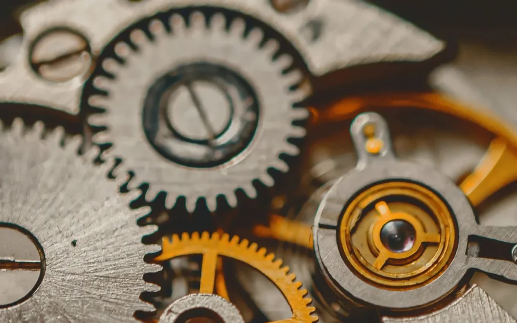 Mechanizm bruksizmu: jak pracują mięśnie żucia i układ nerwowy?