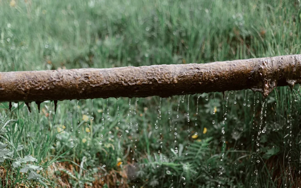 Dlaczego nieszczelność po leczeniu kanałowym jest problemem?