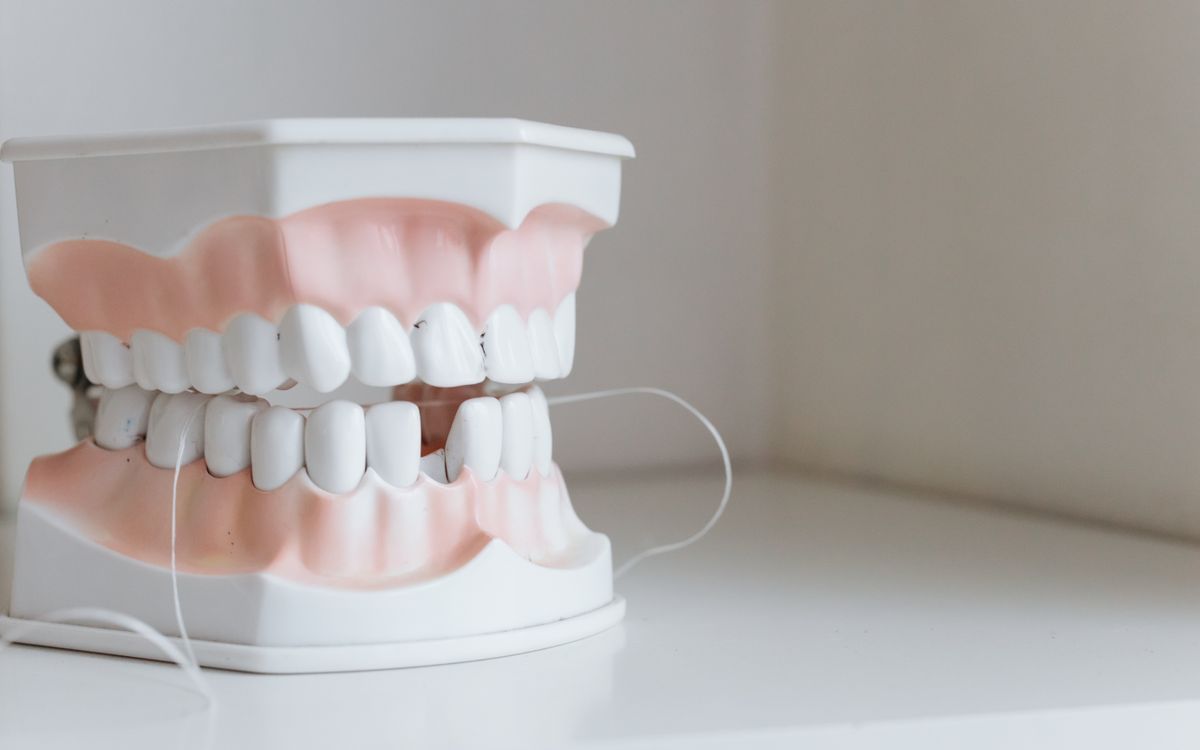 Close-up of a dental model with floss, symbolizing oral hygiene and dental care.